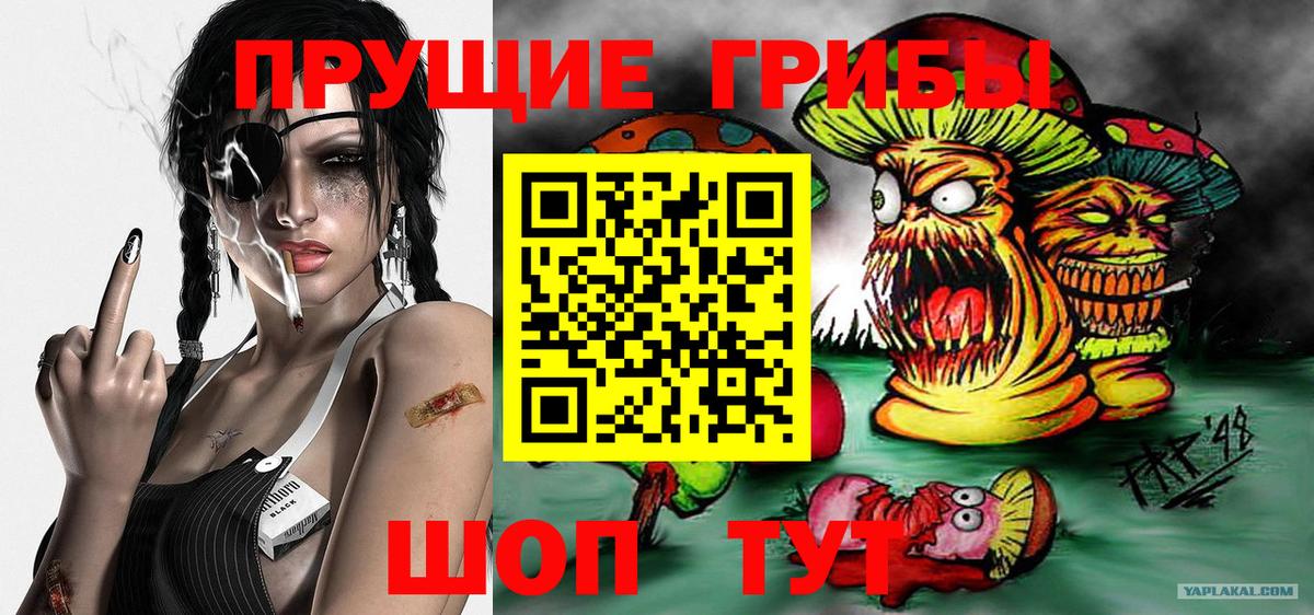 Углич  Псилоцибиновые грибы GOLDEN TEACHER  Вход с VPN 