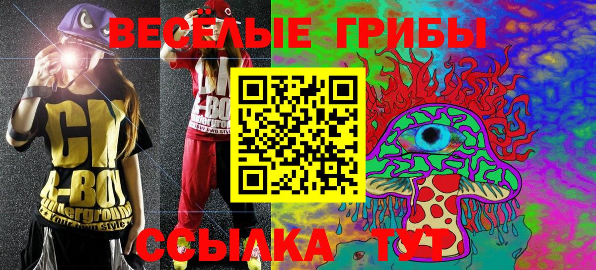 Псилоцибиновые грибы Psilocybe Углич